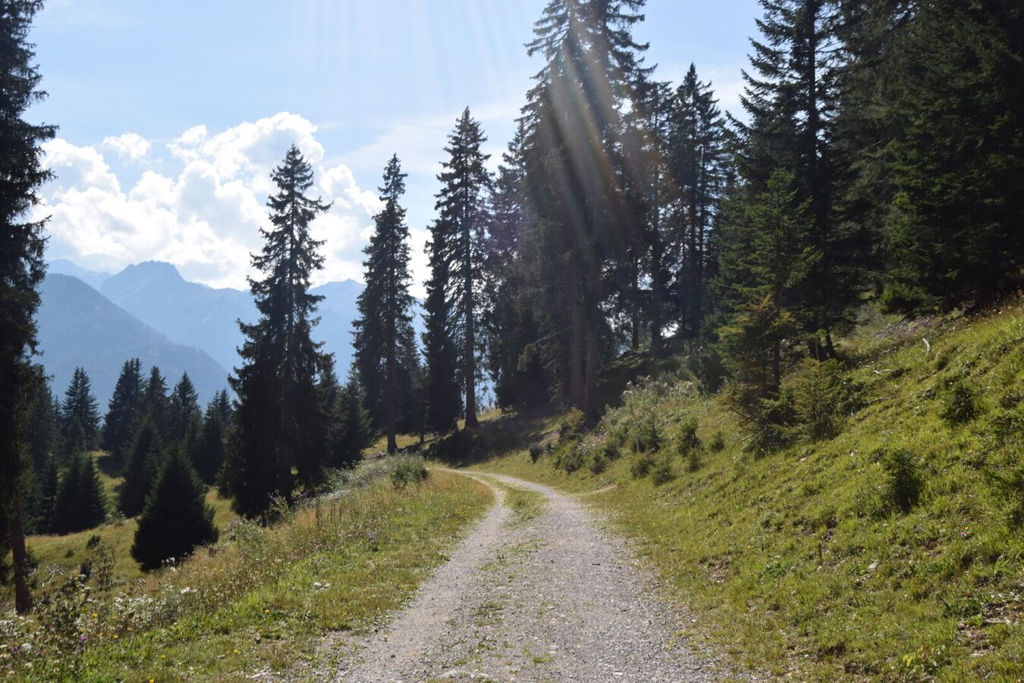 Erlebnisweg Serfaus 2 Erlebnisweg Serfaus 2